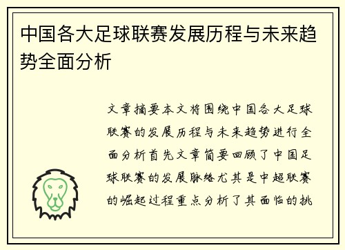 中国各大足球联赛发展历程与未来趋势全面分析