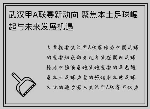 武汉甲A联赛新动向 聚焦本土足球崛起与未来发展机遇